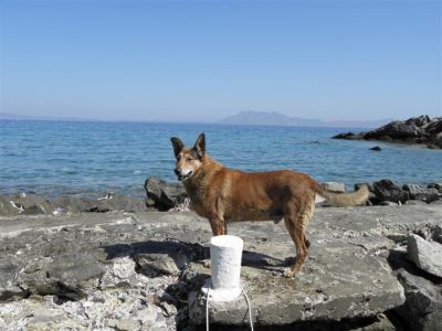 Κάντε κλικ για να δείτε την εικόνα σε πλήρες μέγεθος