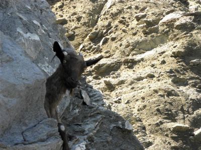 Tam boy resmi görebilmek için tıklayın