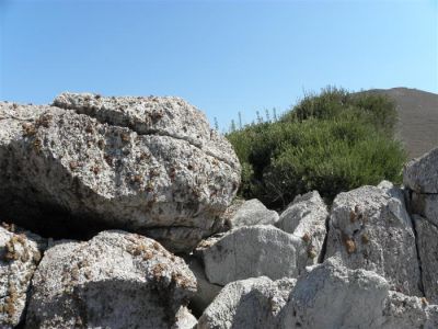 Tam boy resmi görebilmek için tıklayın