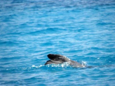 Κάντε κλικ για να δείτε την εικόνα σε πλήρες μέγεθος