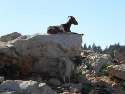 Κάντε κλικ για να δείτε την εικόνα σε πλήρες μέγεθος