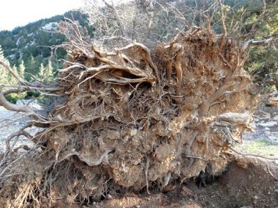 Κάντε κλικ για να δείτε την εικόνα σε πλήρες μέγεθος