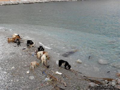 Κάντε κλικ για να δείτε την εικόνα σε πλήρες μέγεθος