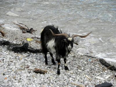 Κάντε κλικ για να δείτε την εικόνα σε πλήρες μέγεθος