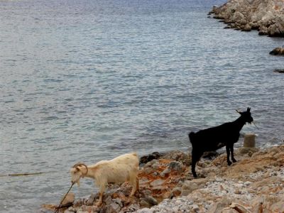 Κάντε κλικ για να δείτε την εικόνα σε πλήρες μέγεθος