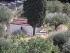Filename=ΑΗΣ ΔΗΜΗΤΡΗΣ ΤΟΥ ΑΜΠΕΛΙΟΥ - AIS DIMITRIS TOU AMPELIOU.JPG
Filesize=103KiB
Dimensions=700x525
Date added=Sep 10, 2012 ΑΗΣ ΔΗΜΗΤΡΗΣ ΤΟΥ ΑΜΠΕΛΙΟΥ - AIS DIMITRIS TOU AMPELIOU.JPG